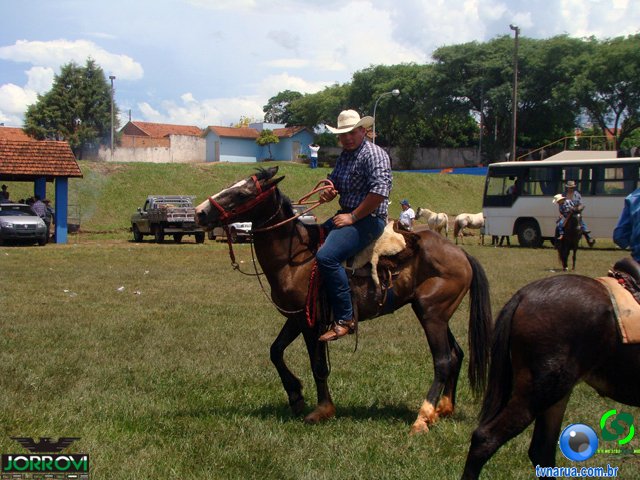 DSC04918.jpg