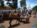 DSC04501.jpg