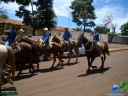 DSC04506.jpg