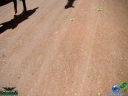 DSC04551.jpg