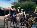 DSC04617.jpg