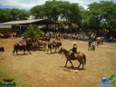DSC04842.jpg