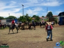 DSC04845.jpg