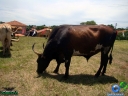 DSC04884.jpg