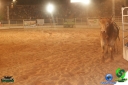 DSC01538.jpg