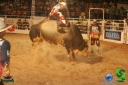 DSC01603.jpg