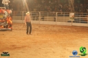 DSC01611.jpg