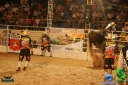 DSC01615.jpg