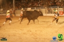 DSC01620.jpg