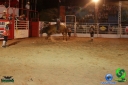 DSC01734.jpg
