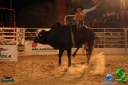 DSC01743.jpg