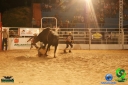 DSC01762.jpg
