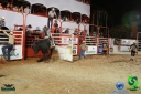 DSC01774.jpg