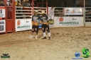DSC01782.jpg