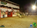 Filename=DSC05227.jpg
Filesize=77KiB
Dimensions=640x480
Date added=Dec 14, 2012 DSC05227.jpg