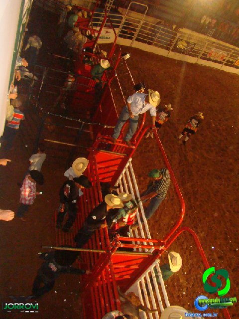 DSC05528.jpg