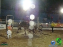 DSC05466.jpg