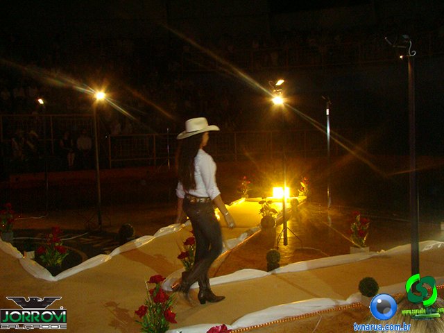 DSC00955.jpg