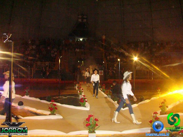 DSC00974.jpg