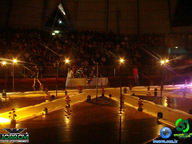 DSC00988.jpg