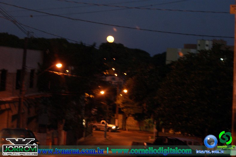 DSC05565.jpg