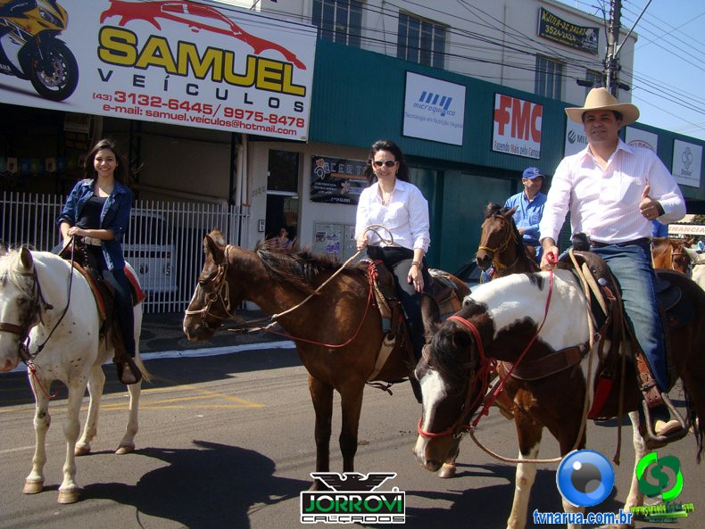 DSC00478.jpg