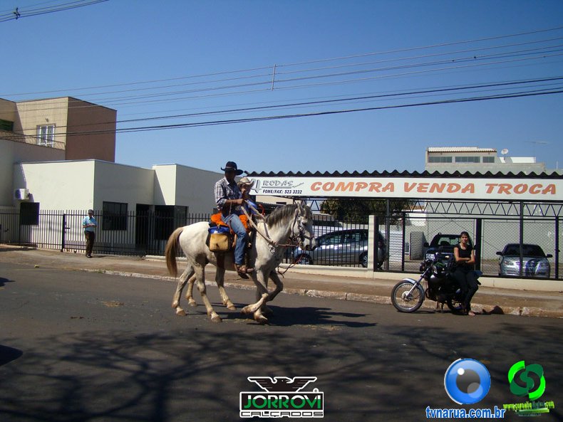 DSC00707.jpg