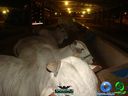 DSC01363.jpg