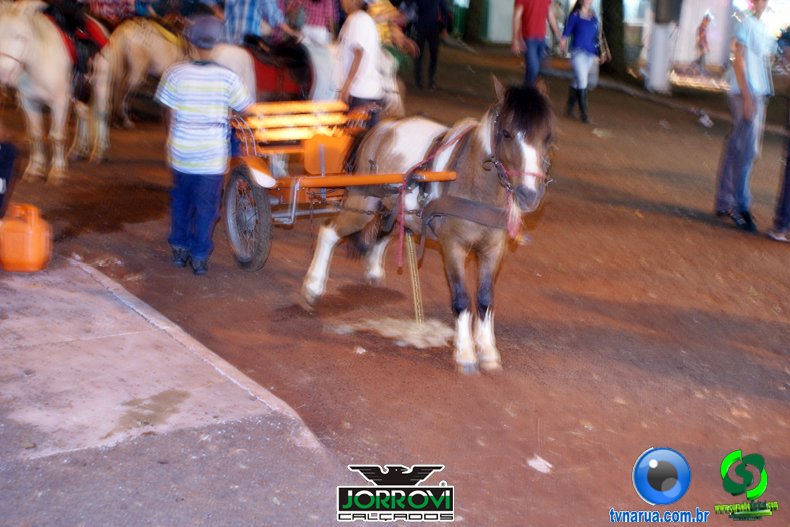 DSC02055.jpg