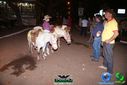 DSC02076.jpg
