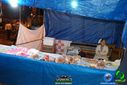 DSC09783.jpg