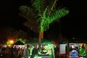 DSC09791.jpg