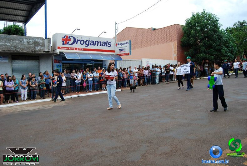 115.jpg