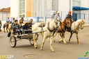 IMG_1372.jpg