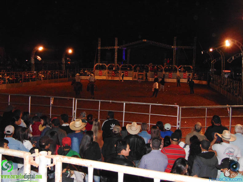 DSC08946.jpg