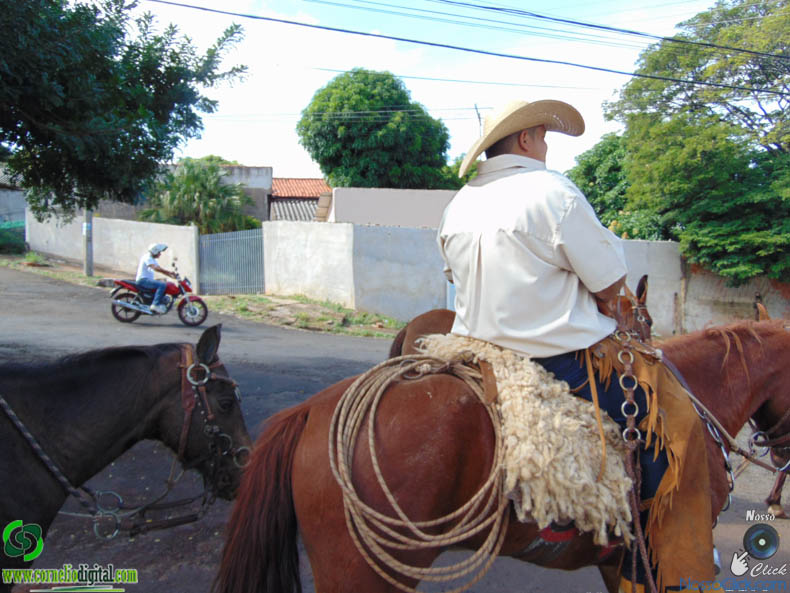 DSC09824.jpg