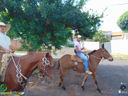 DSC09823.jpg