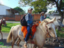 DSC09854.jpg