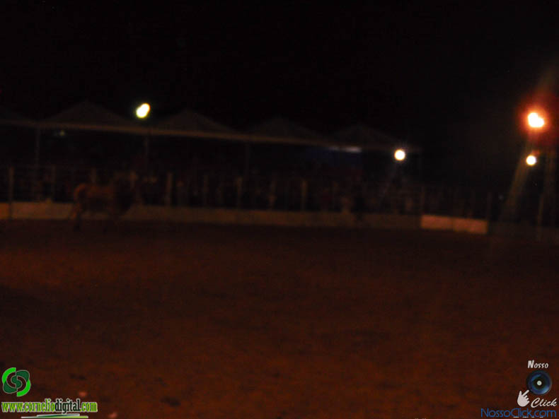 DSC00525.jpg