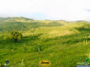 DSC03610.jpg