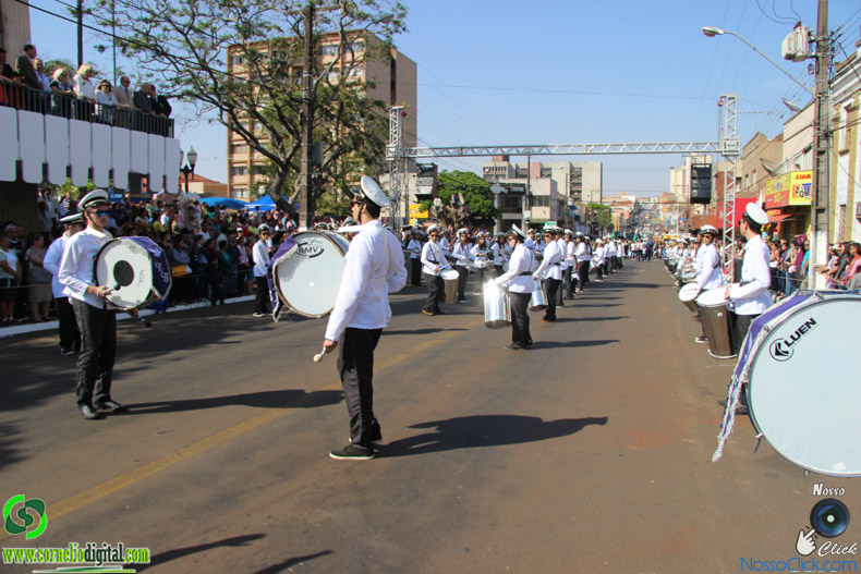 IMG_9572.jpg