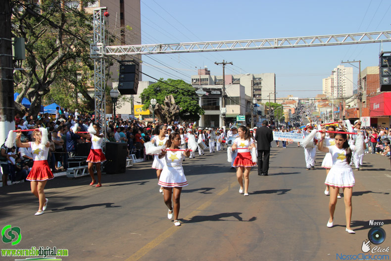 IMG_9773.jpg