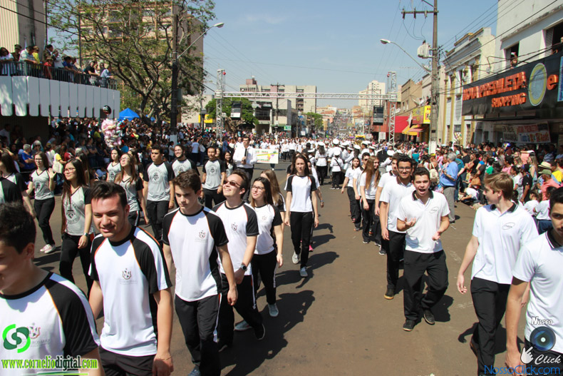 JIMG_0210.jpg