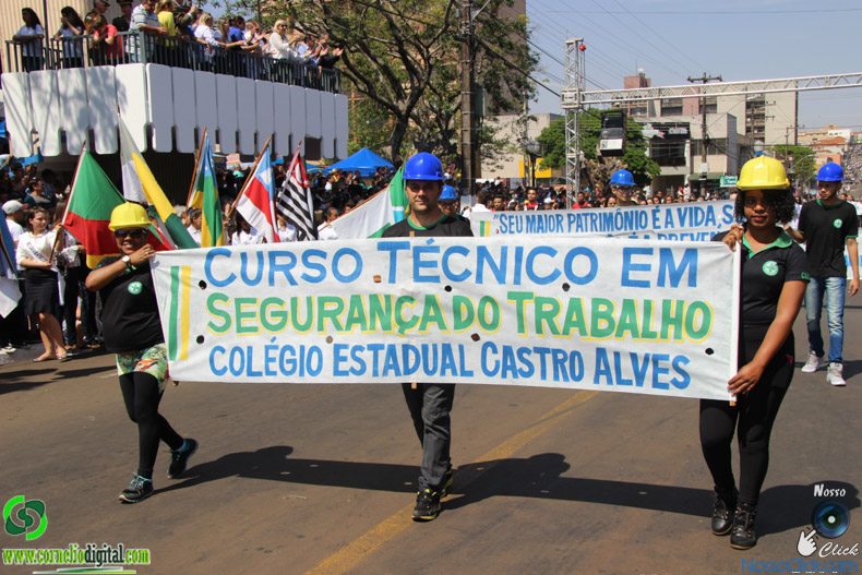 JIMG_0378.jpg