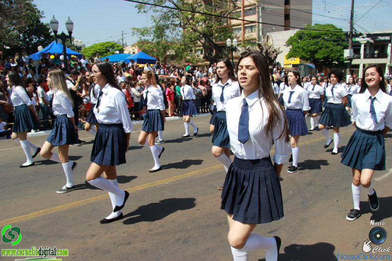 JIMG_0528.jpg