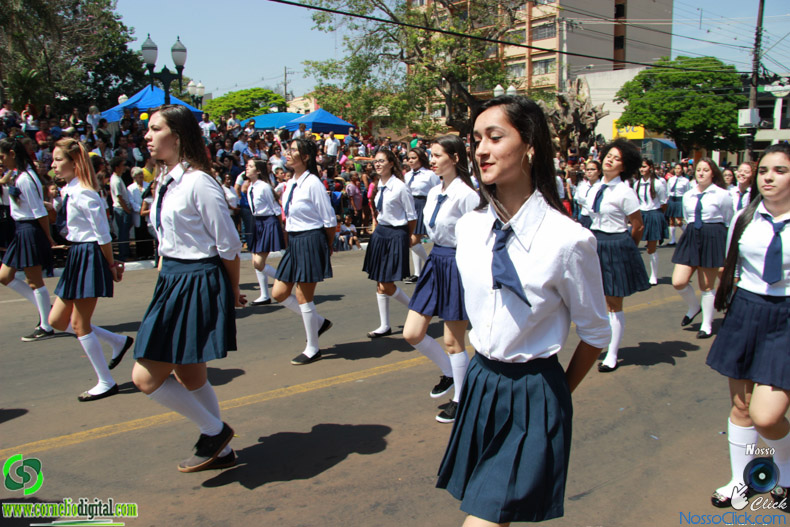JIMG_0529.jpg