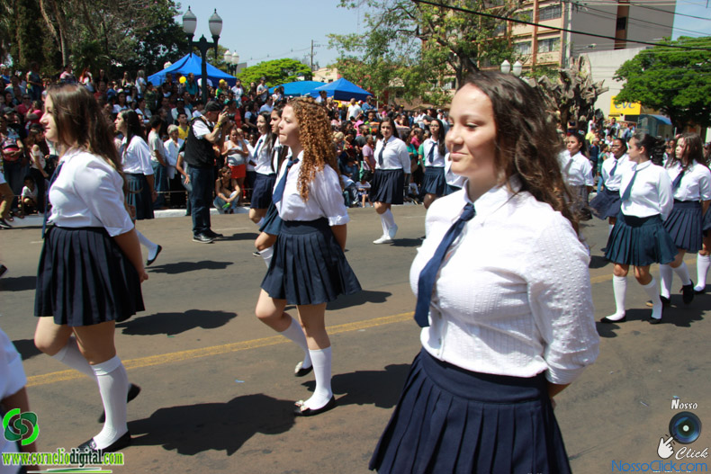 JIMG_0533.jpg