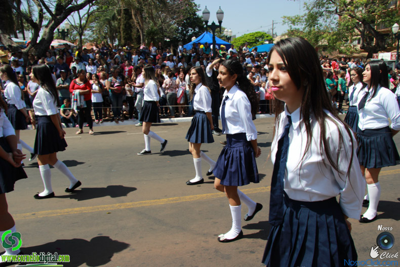 JIMG_0545.jpg