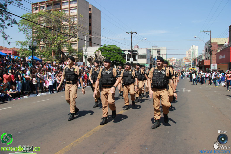 JIMG_0614.jpg