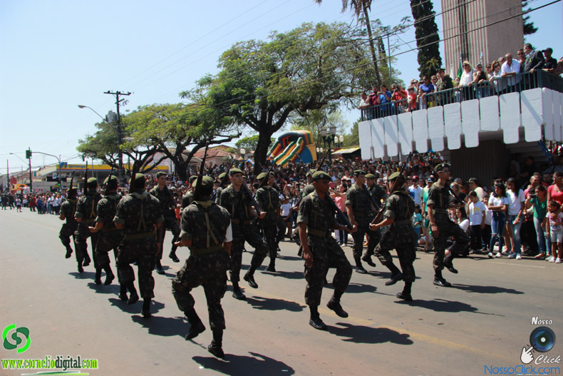 JIMG_0819.jpg